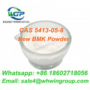 High Purity New BMK Powder CAS: 5413-05-8 hot Selling to USA Canada Poland Whatsapp:+86 18602718056 Darwin