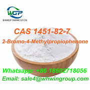 Direct Supply 2-Bromo-4-Methylpropiophenone CAS 1451-82-7 Hot Sale to Russia Whatsapp:+8618602718056 Darwin