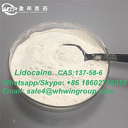 Factory Supply High Purity 99% CAS 137-58-6 Lidocaine with Safe Delivery Whatsapp:+86 18602718056 Дарвин
