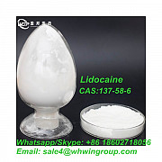 Factory Supply High Purity 99% CAS 137-58-6 Lidocaine with Safe Delivery Whatsapp:+86 18602718056 Darwin