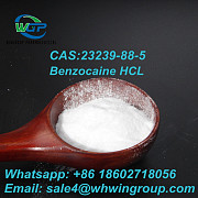 Local Anesthetic Pharma Grade CAS 23239-88-5 Benzocaine Hydrochloride Whatsapp: +86 18602718056 Darwin
