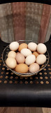 Яйцо домашних курочек Воскресенск