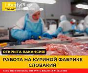 Словакия. Фабрика по переработке куриного мяса. ЗП 1200 евро чистыми Полтава