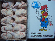 Цыплята Бройлерные оптовые поставки от 60 тонн. Москва