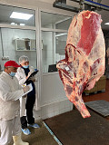 Мясо говядина баранина Москва
