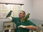Лечение птиц в Москве. Москва