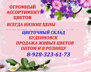 Цветочный склад, опт-розница, низкие цены Буденновск Будённовск