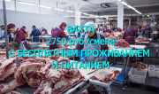 Обвальщик мяса Вахта в Воронежской области Бесплатное питание Москва