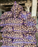 Качественные овощи с алтайской фермы от поставщика в Барнауле Барнаул