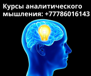 Развиваю аналитические способности, логику и глубокое мышление Санкт-Петербург