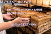 Упаковщик на пищевое производство вахтовым методом в Москве 15/30 Москва