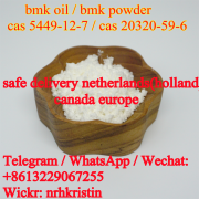 Netherlands new bmk oil cas 20320-59-6 bmk powder 5449-12-7 pmk oil cas 28578-16-7 pmk powder Canada Квебек