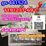 GS-441524 CAS1191237-69-0 cat FIP FIPV factory supplier wickr:amy1934 whats/skype:+8617631128779 tel Эльбасан