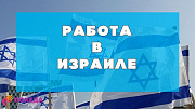 Работа в Израиле 50+ вакансий Владивосток