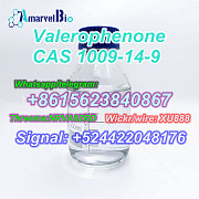 Warehouse price CAS 1009-14-9 for safe delivery Москва