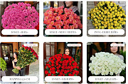N&L FLOWER SHOP: Доставка квітів по Києву, Херсону та Миколаєву Киев