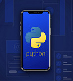 Курс по разработке приложений на языке Python Брест