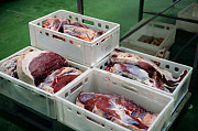 Производство говядины, свинины. Продажа мяса цб Москва