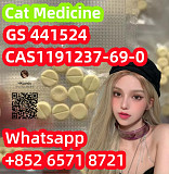 Cat medicine CAS1191237-69-0 GS 441524 Хабаровск