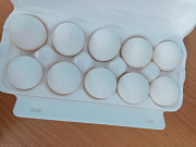 Яйцо куриное от производителя экспорт в Монголию Ulan Bator