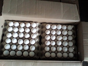 Яйцо куриное от производителя экспорт в Монголию Ulan Bator