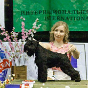 Продаются щенки цвергшнауцера черного окраса Москва