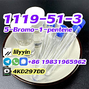 Cas 1119-51-3 1-bromo-4-pentene 5-Bromo-1-pentene Москва