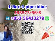 288573-56-8 1-Boc-4-piperidine Барановичи