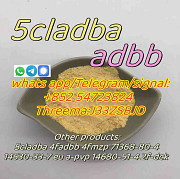 5cl precursor, 5cladba, adbb yellow powder Guelma