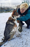 Небольшой симпатичный пёс ищет дом Санкт-Петербург