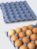 Линия для переработки макулатуры в упаковку для яиц и другие виды упаковки Бремен